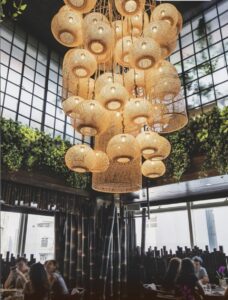 Screenshot 2025 04 06 at 12.58.43 PM Bamboo India